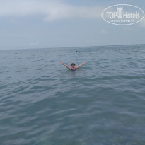 фото из отзыва ID 2198660