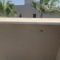 фото из отзыва ID 2198726