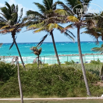 фото из отзыва ID 2198727