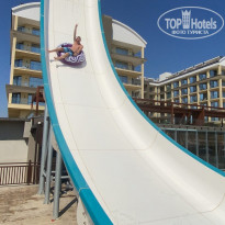 фото из отзыва ID 2198559