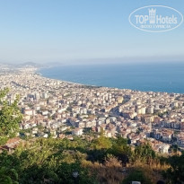 фото из отзыва ID 2198895