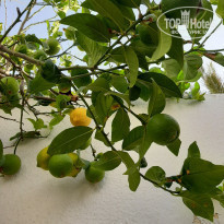 фото из отзыва ID 2198942