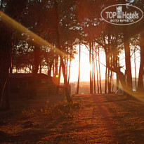 фото из отзыва ID 2197900