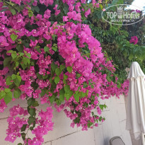 фото из отзыва ID 2197900