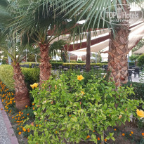 фото из отзыва ID 2197900