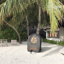 фото из отзыва ID 2199028