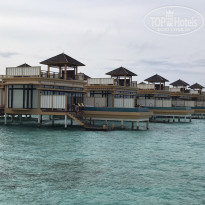 фото из отзыва ID 2199028