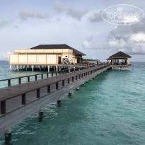 фото из отзыва ID 2199028