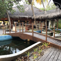 фото из отзыва ID 2199028