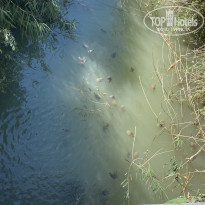 фото из отзыва ID 2199054