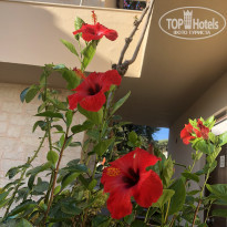 фото из отзыва ID 2198679