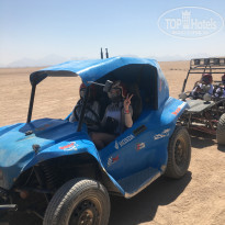 фото из отзыва ID 2199052