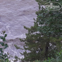 фото из отзыва ID 2199116