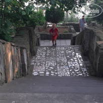 фото из отзыва ID 2199116