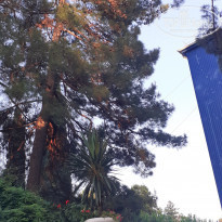 фото из отзыва ID 2199116