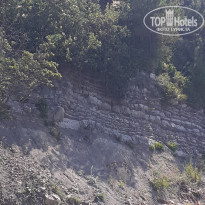 фото из отзыва ID 2199116