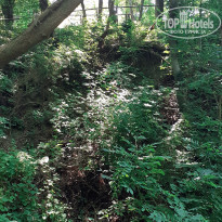 фото из отзыва ID 2199116