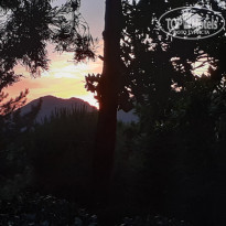 фото из отзыва ID 2199116