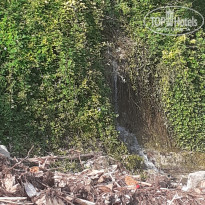 фото из отзыва ID 2199116