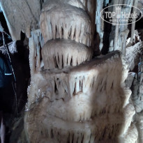 фото из отзыва ID 2199123