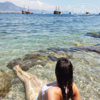 фото из отзыва ID 2199136