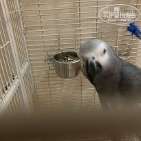 фото из отзыва ID 2199161