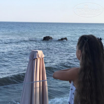 фото из отзыва ID 2199204