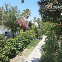 фото из отзыва ID 2199248