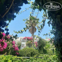 фото из отзыва ID 2199248