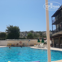 фото из отзыва ID 2199248