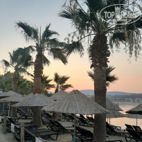 фото из отзыва ID 2199248