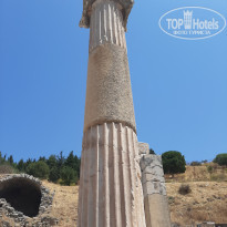 фото из отзыва ID 2199248