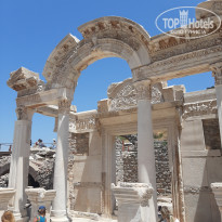 фото из отзыва ID 2199248