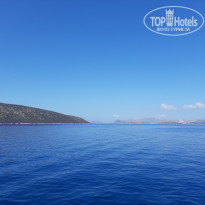 фото из отзыва ID 2199248