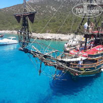 фото из отзыва ID 2199248