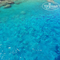 фото из отзыва ID 2199248