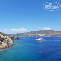 фото из отзыва ID 2199248