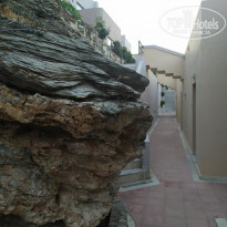 фото из отзыва ID 2199368