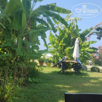 фото из отзыва ID 2199618