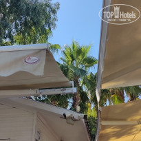 фото из отзыва ID 2199618