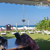 фото из отзыва ID 2199618