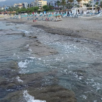 фото из отзыва ID 2194992