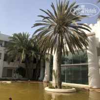 фото из отзыва ID 2199866