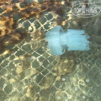 фото из отзыва ID 2197421