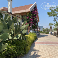 фото из отзыва ID 2199921