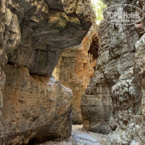 фото из отзыва ID 2195427