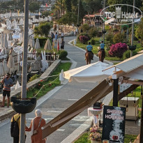 фото из отзыва ID 2195331