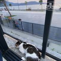 фото из отзыва ID 2190769