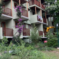 фото из отзыва ID 2197996