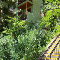 фото из отзыва ID 2197996